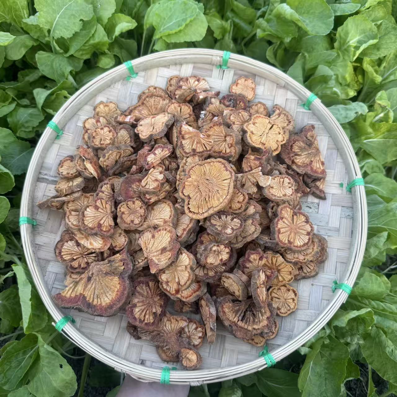 正宗雪栓通 可泡水