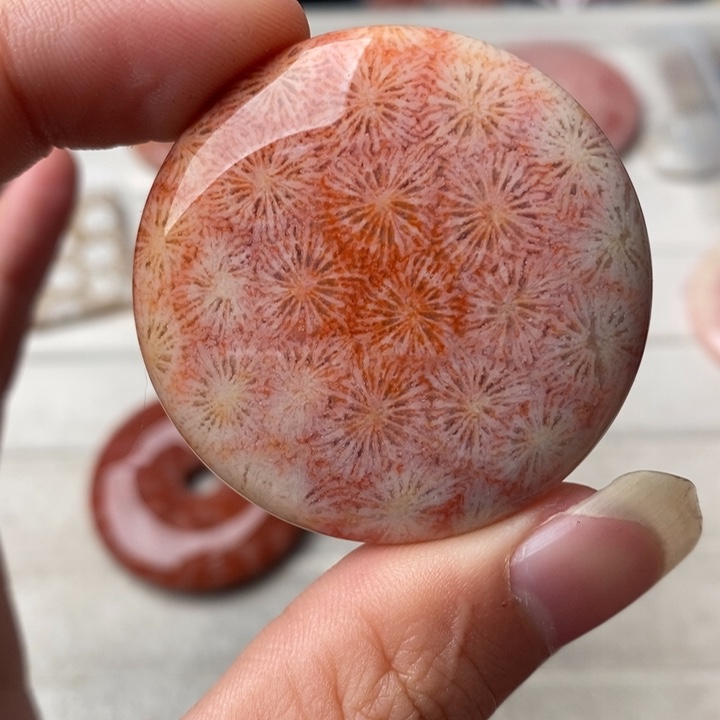 硅化玉颈饰未镶嵌王