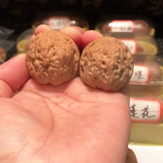 文玩核桃金钱豹1111