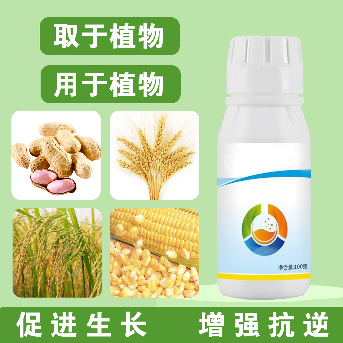 天然植物提取促进生长增强抗逆提质增产小麦玉米花生水稻等叶面肥