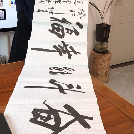 书法赵老师的作品