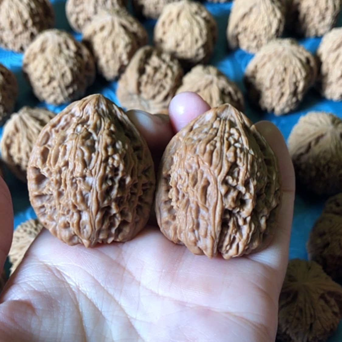 【闪购商品】文玩核桃把件知**一赵喜满