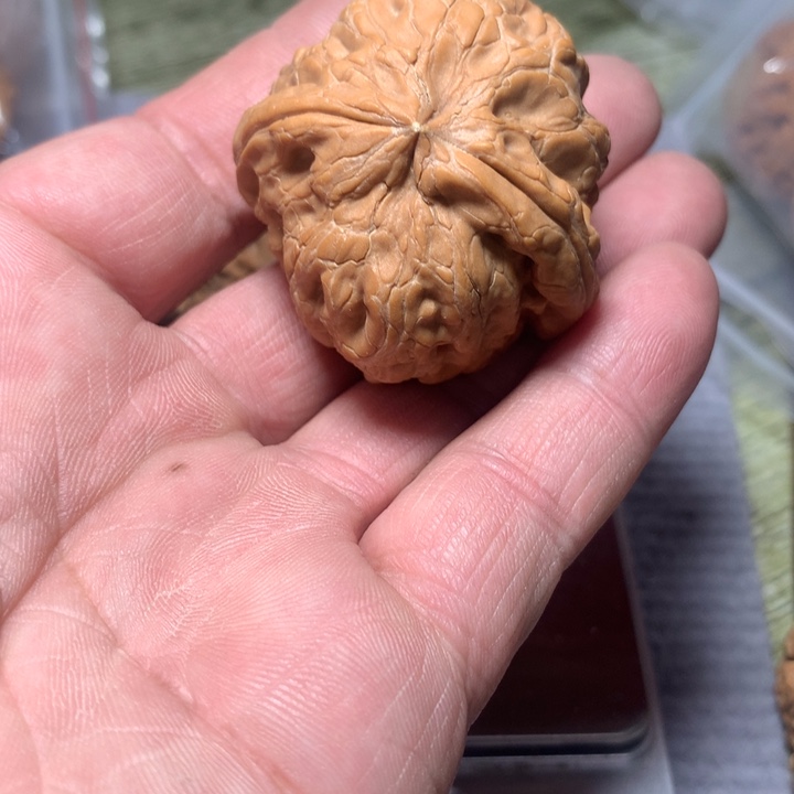 文玩核桃吊坠致**华驴单只