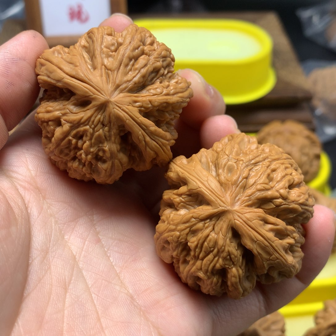 文玩核桃把件44粗筋