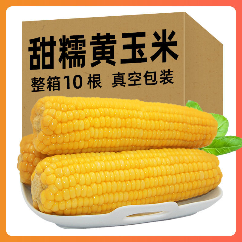 2025头茬黄糯玉米新鲜大棒清甜软糯真空包装粘黏玉米粗粮方便代餐