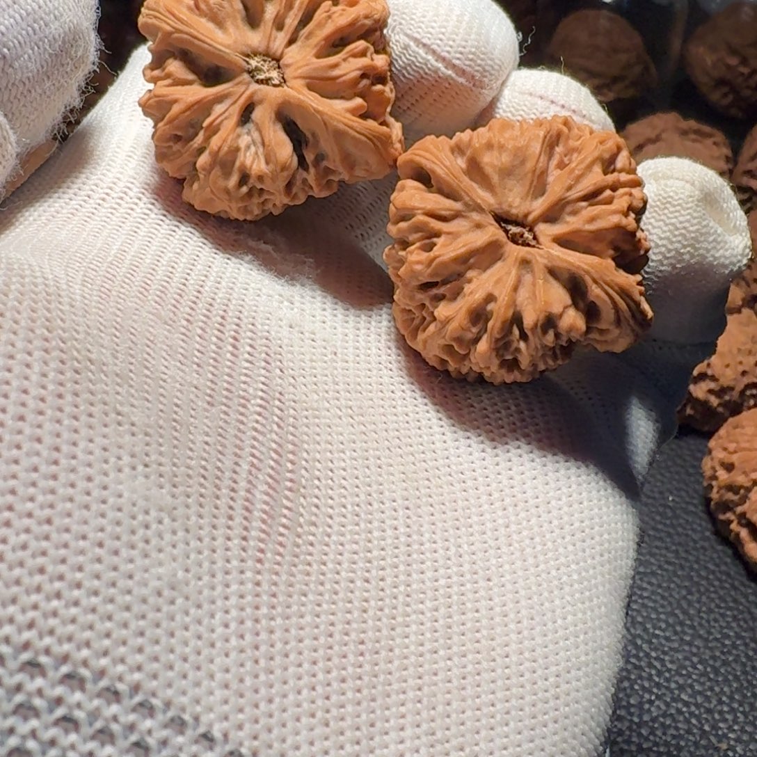 虾****吊坠文玩核桃有色差有黄有修