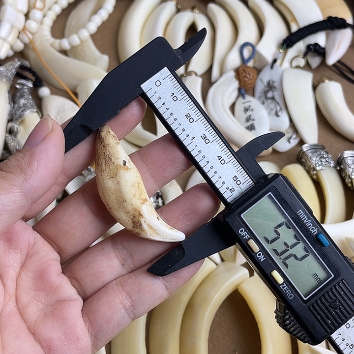 黑狗牙下牙福利价老牙