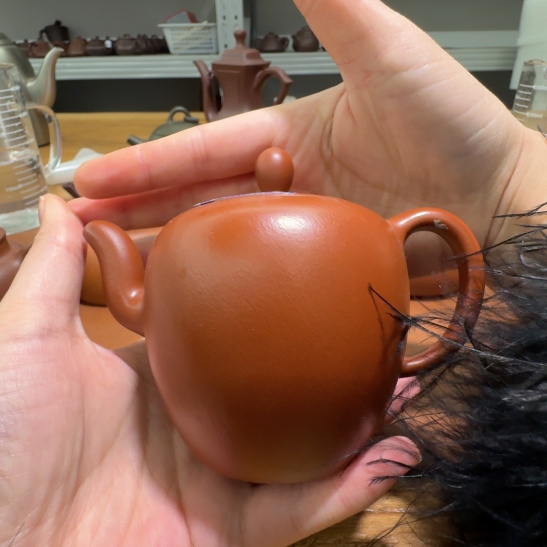 b***m茶壶紫砂小丁紫砂壶紫砂壶