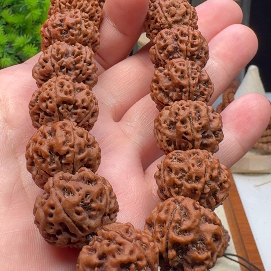 手串金刚菩提飞碟梅花