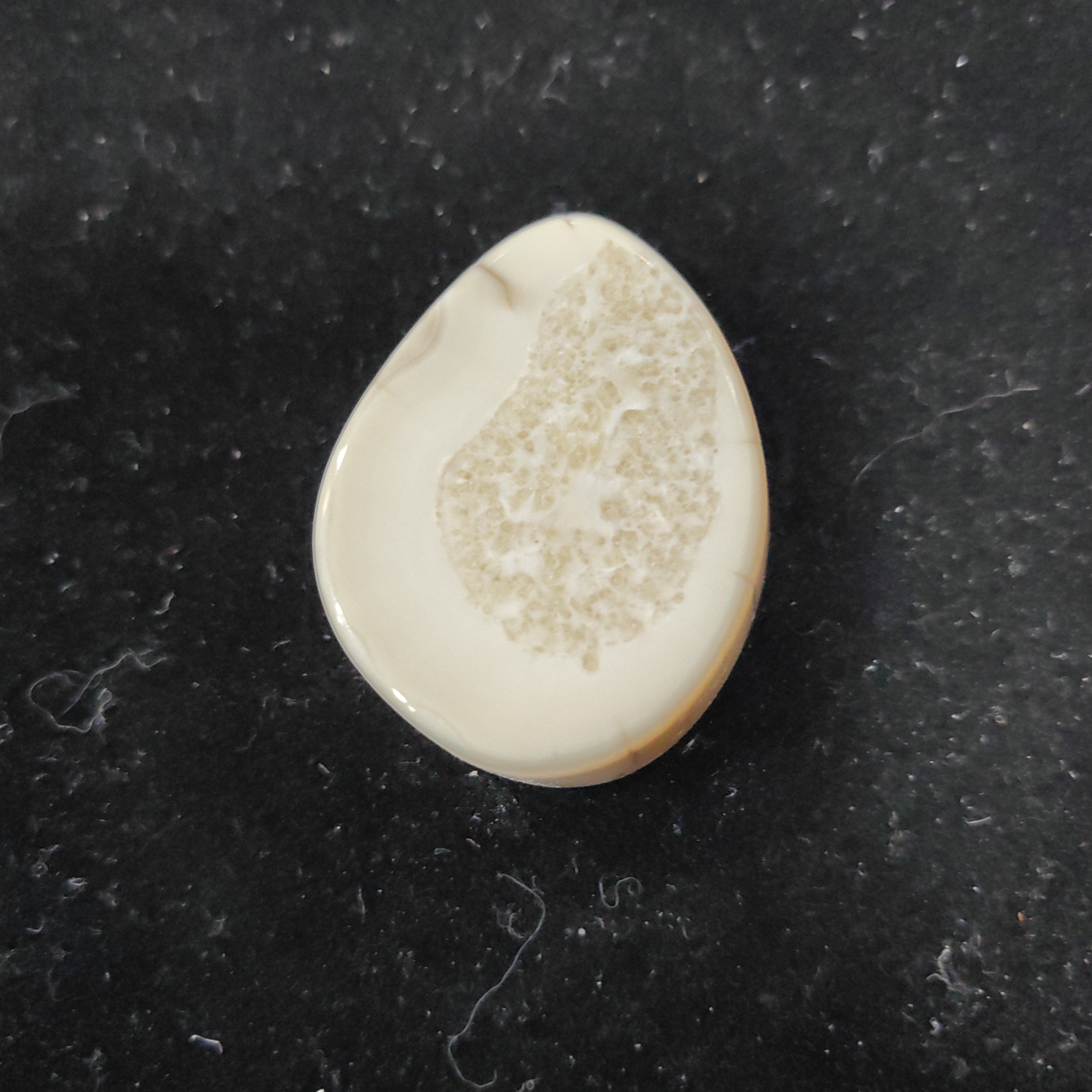 猛犸猛犸虬饼子WT630