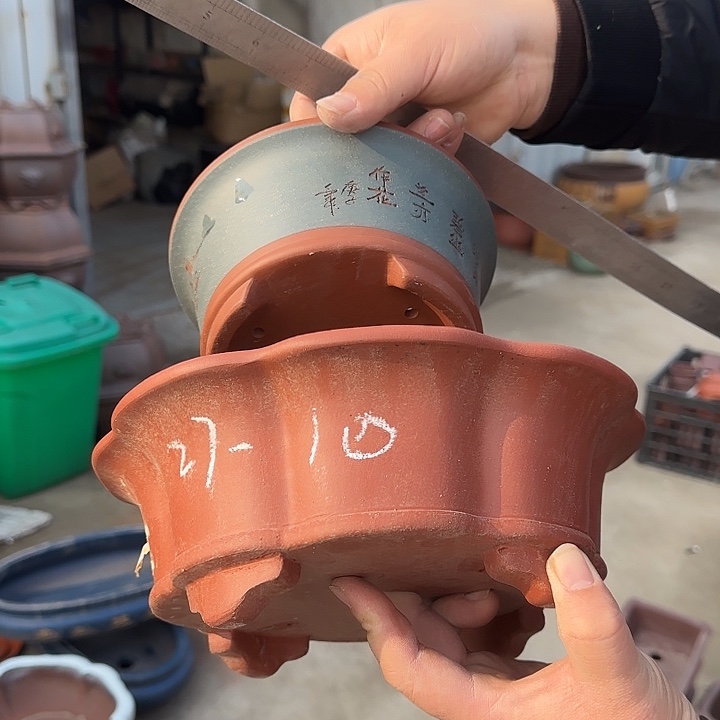 花盆紫砂这是我的