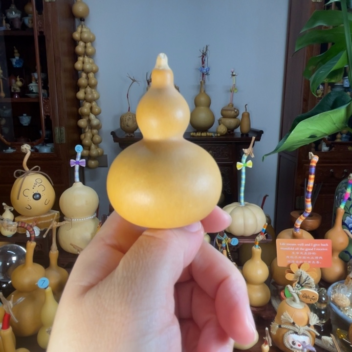 直立稳坐满籽葫芦