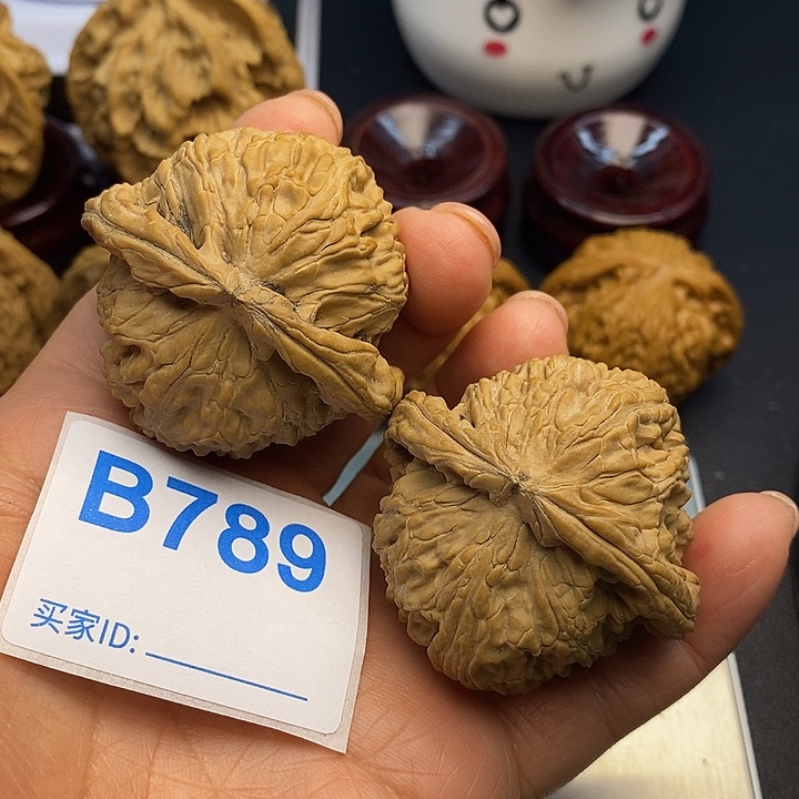 核桃白狮子4.6， 000