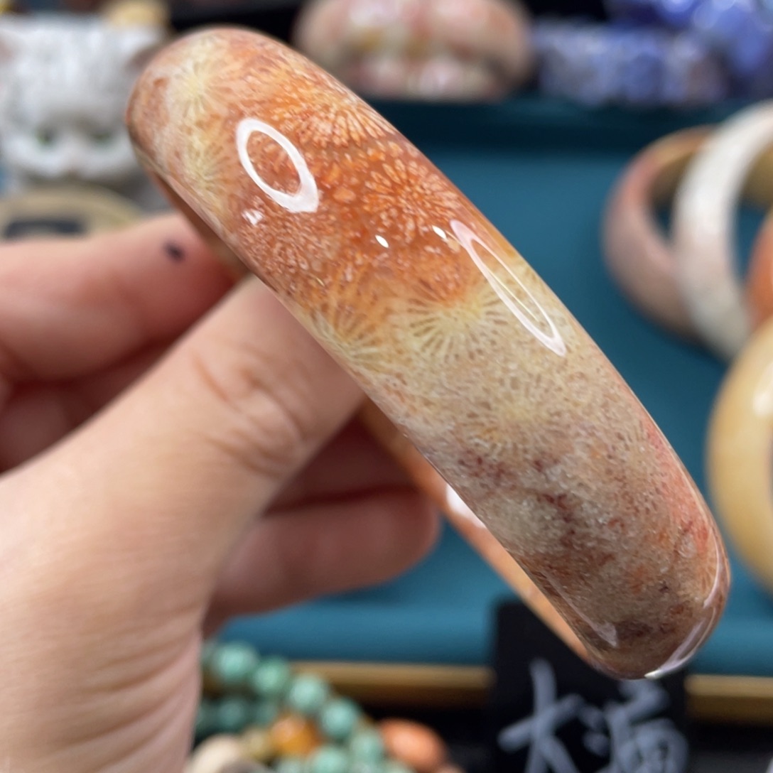 未镶嵌手镯硅化玉