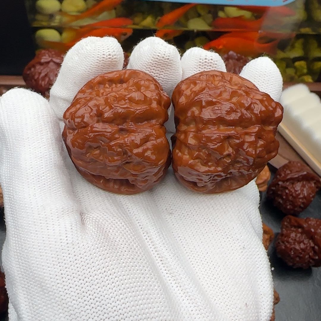 小冉臻选核桃蛤蟆40