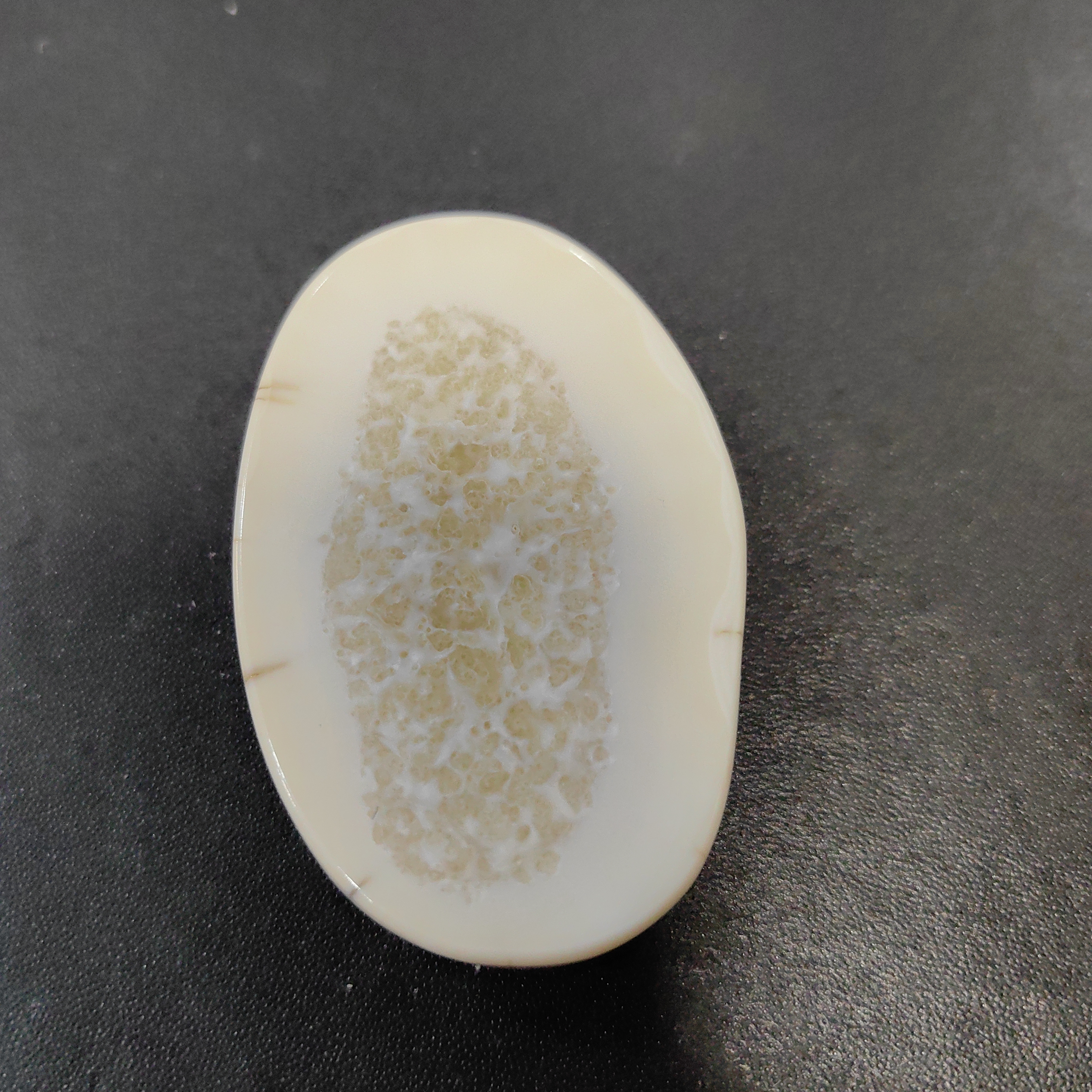 猛犸猛犸虬饼子  WT60