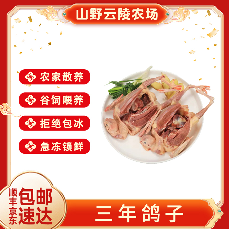 山野云陵农场农家散养三年老鸽子400g*2只农村土鸽子内脏在