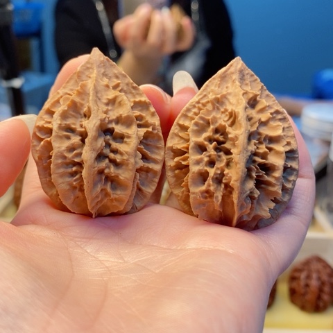 桃核把件八楞龙骨