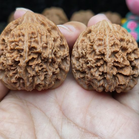 大叶紫檀（黑酸枝木类）练手星星，介意慎拍谢谢