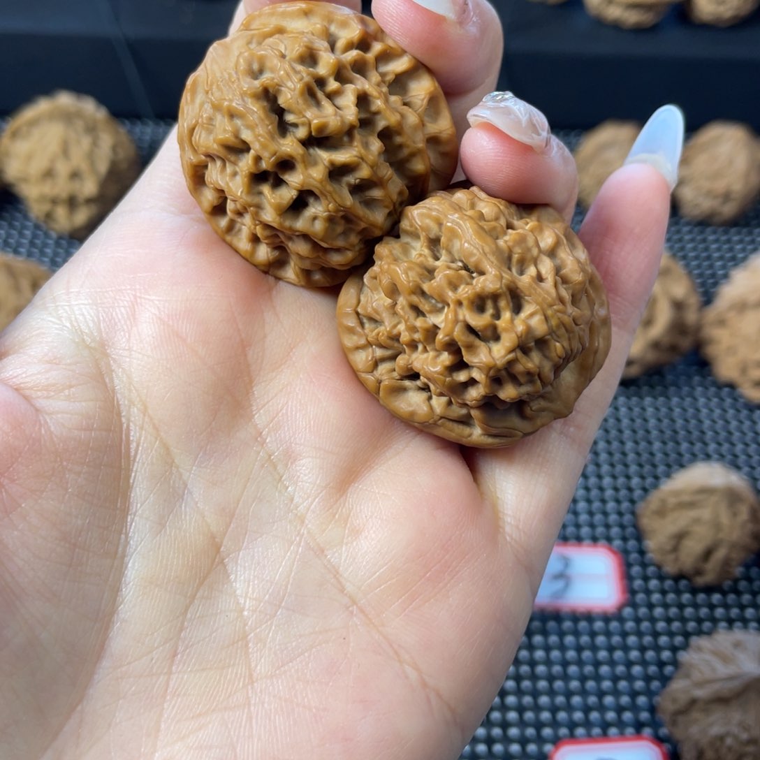 F*秦岭小王文玩核桃