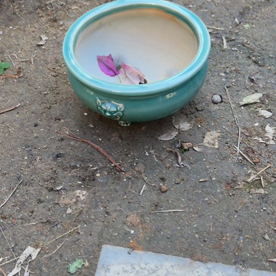 @***)瓷器花盆包邮一个