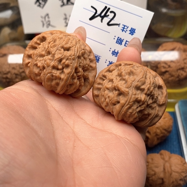 文玩核桃把件242号41白狮子