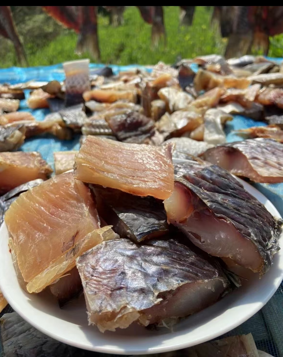 苏州太湖青鱼干（3斤）