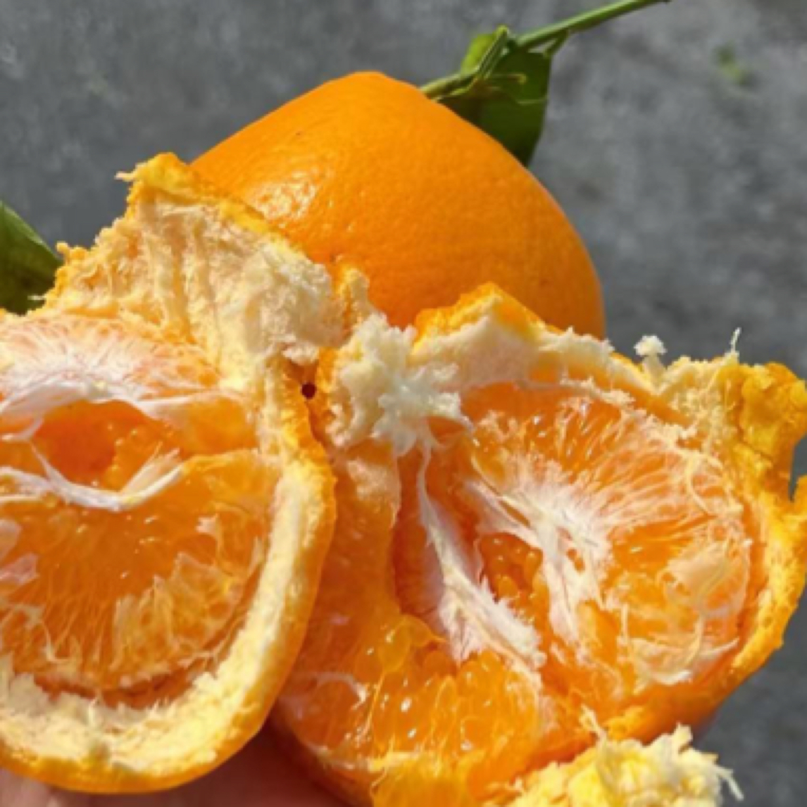 春见耙耙柑5斤24.9