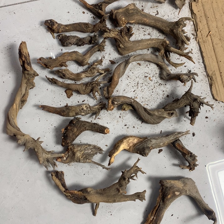 培***工无花朵今天晚上在学校吃饭