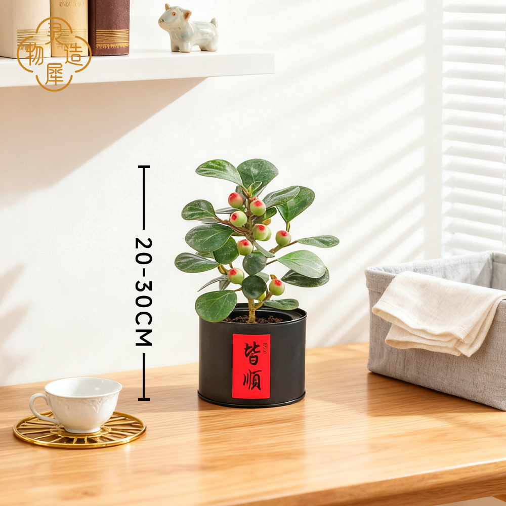 【带果发货】17-25cm小盼菩提盆栽带果桌面工位小绿植盆景禅意