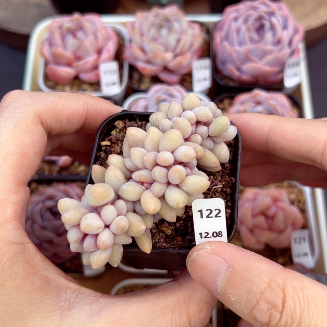 好好看122，哈哈哈哈