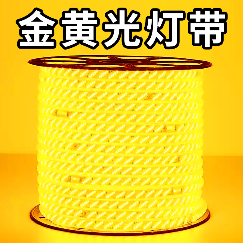 双12金黄led灯带工装亮化缠树景观防水自建房外墙氛围金黄光灯带