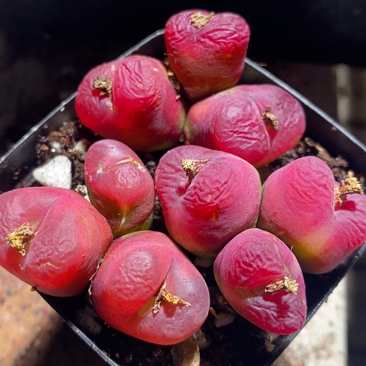 27310一组一组一组