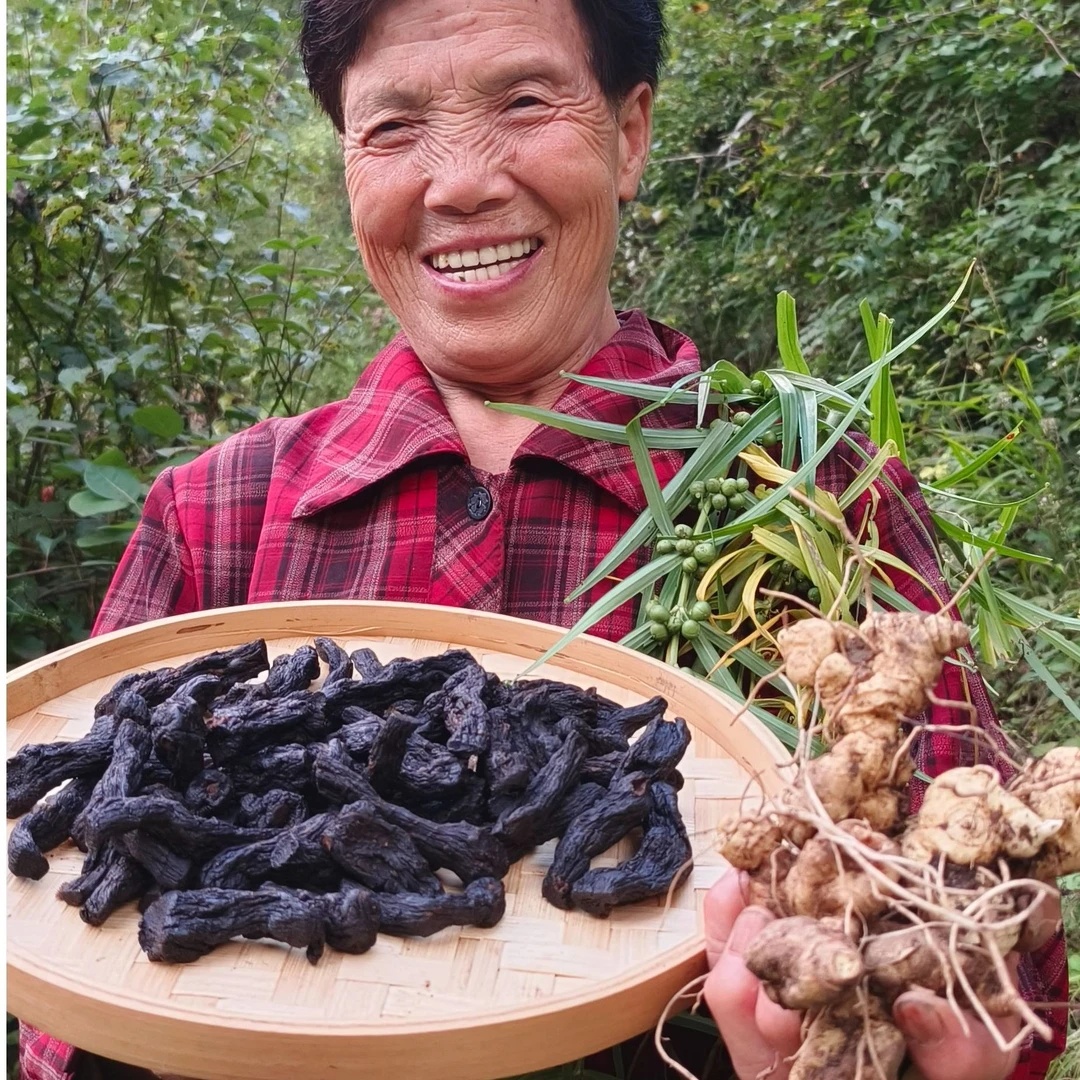 秦岭深山仙人余量特产可搭配天麻