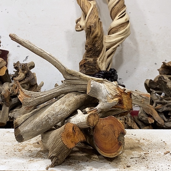 忆***柏柏木我们都是好孩子