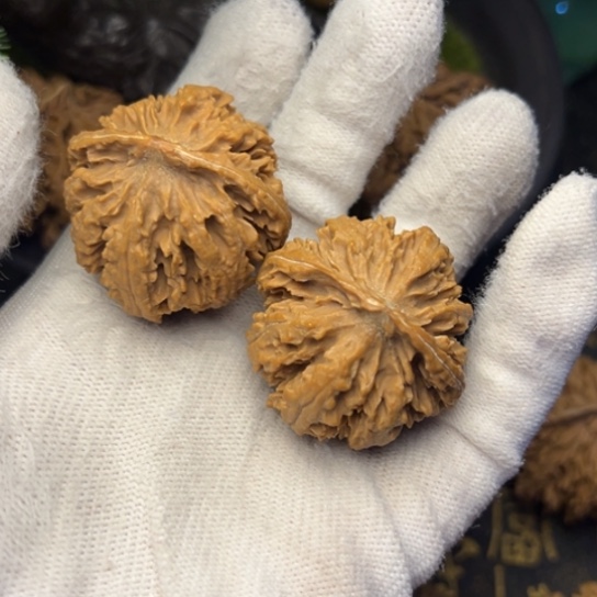 不***$文玩核桃吊坠秦岭核桃6