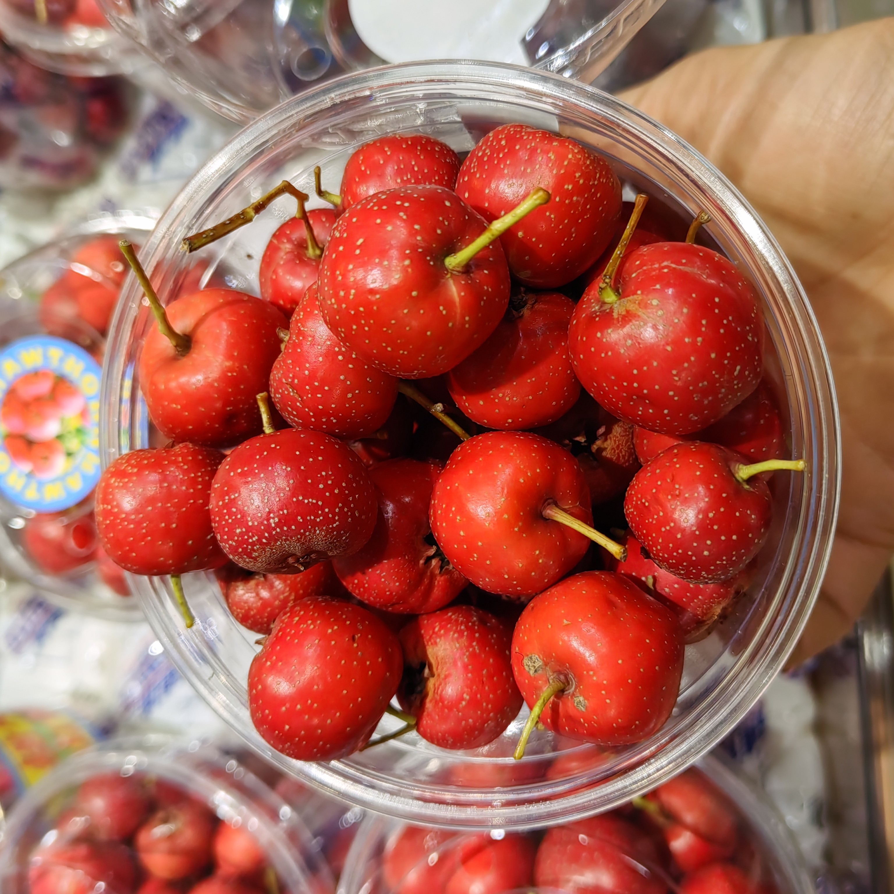 甜心红山楂，入口化渣，甜度高，一盒10元（8两）