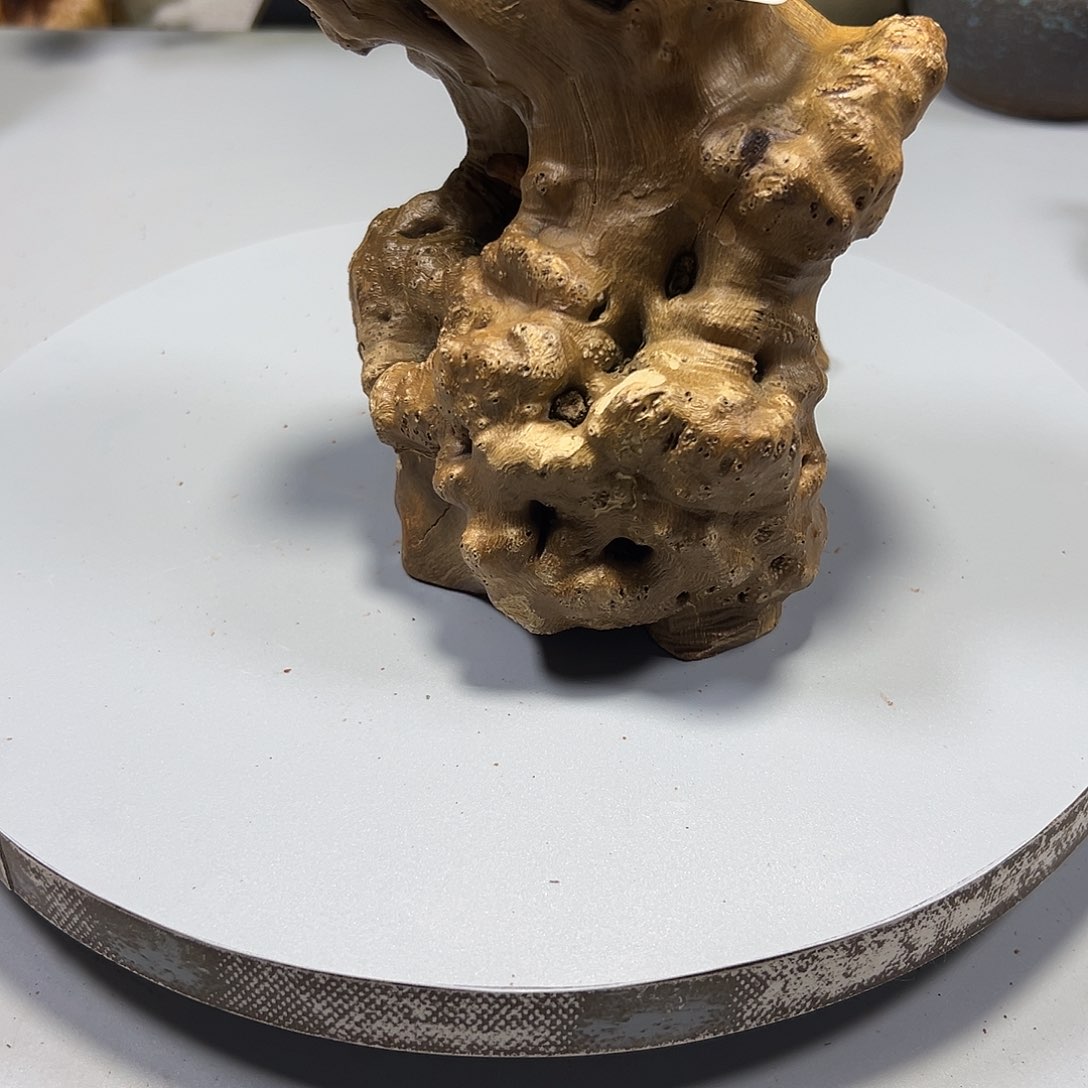 大果紫檀（缅甸花梨）悠***尘