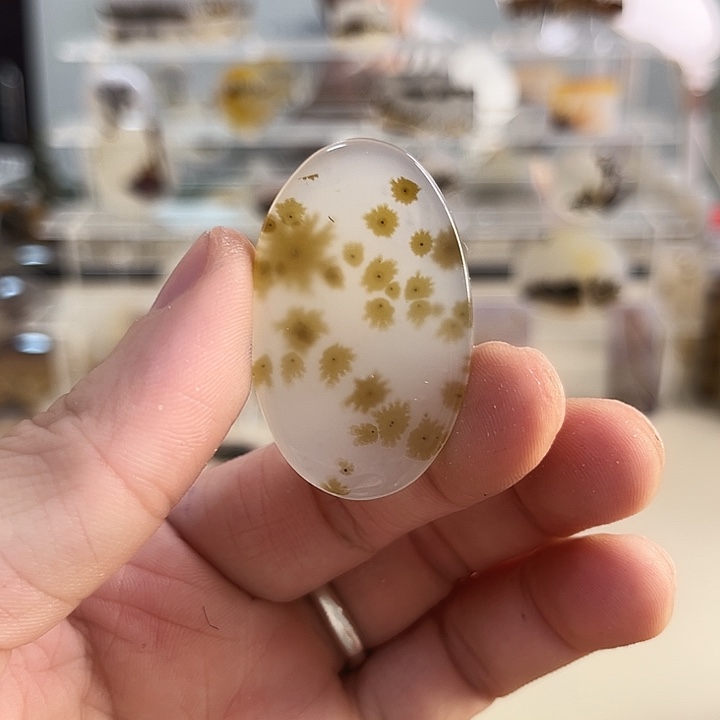 玛瑙/玉髓吊坠(不含链)未镶嵌