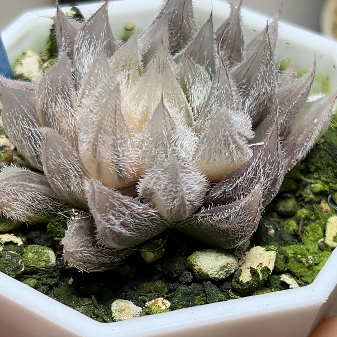 恭喜发财大吉大利546