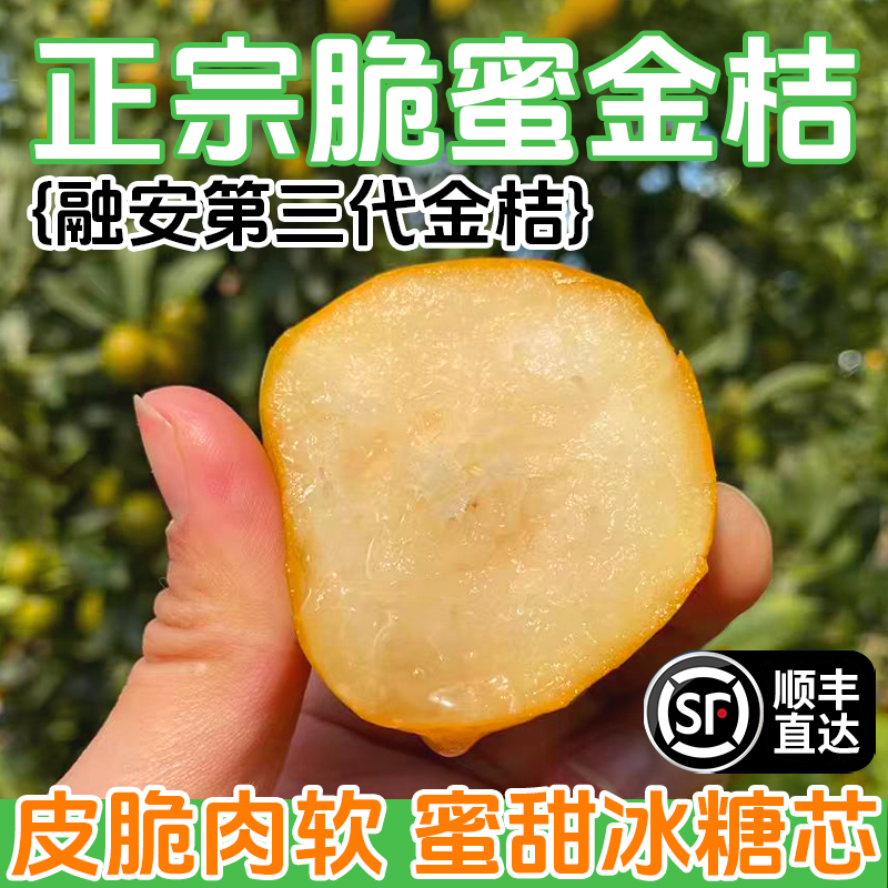 【顺丰直发】正宗融安第三代脆蜜金桔爆甜多汁应季水果新鲜现摘现发