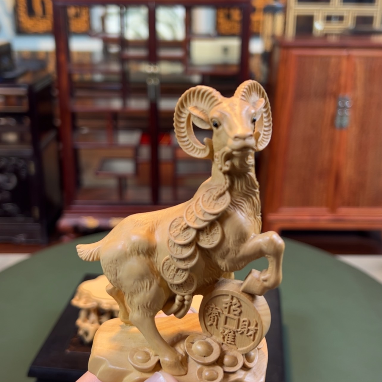 【闪购商品】黄杨木其他黄杨木