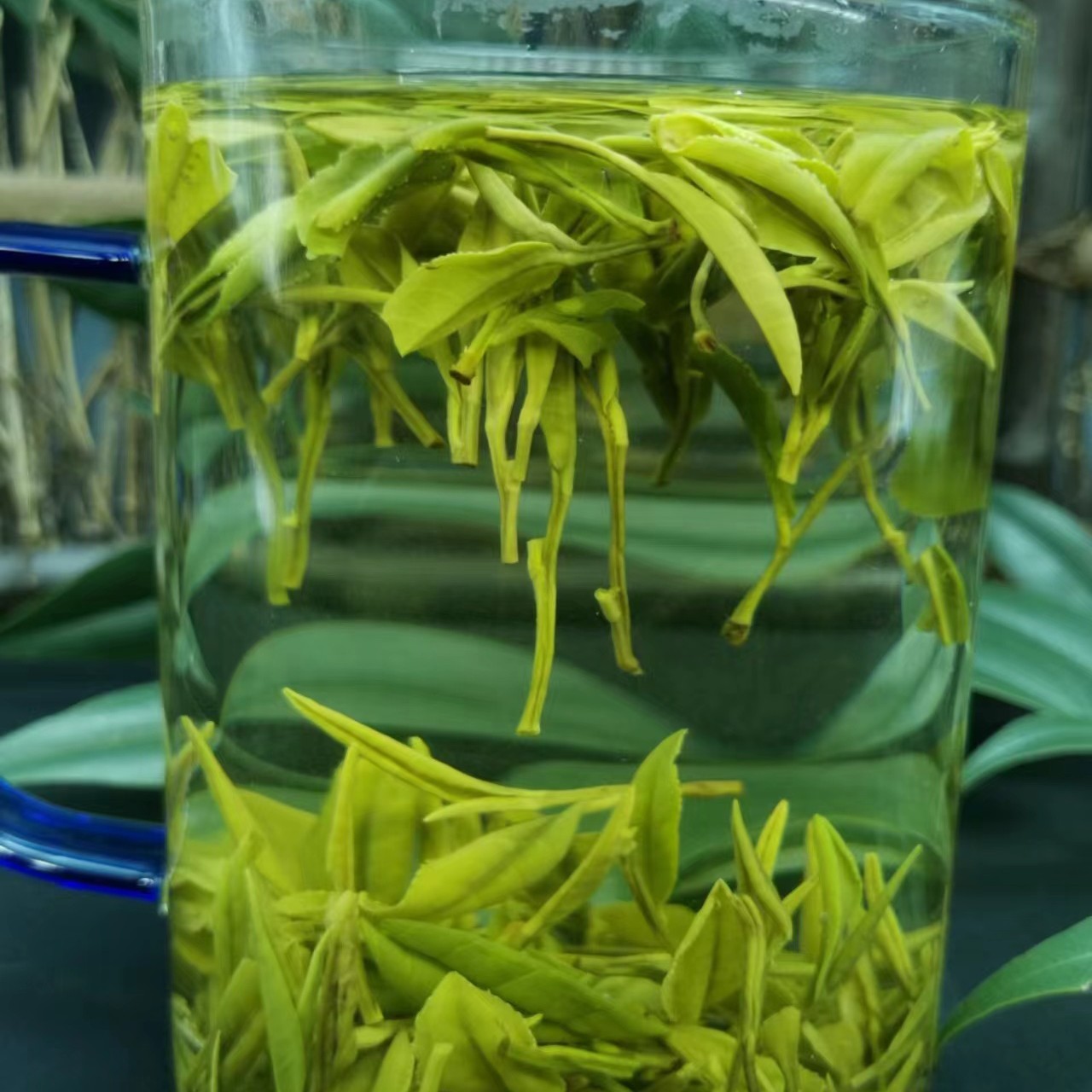 茶名：霍山黄芽雨后碳火烘焙茶香气浓郁耐泡回甘好性价比高