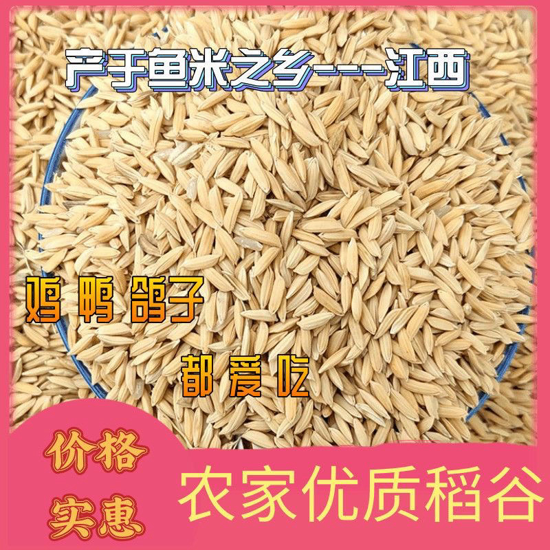 优质长稻谷动物饲料原料可用于喂鸡喂鸭家禽