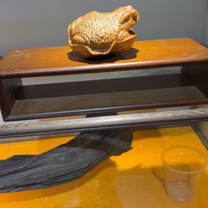 张***三柏木电工健康快乐啦啦啦快快快