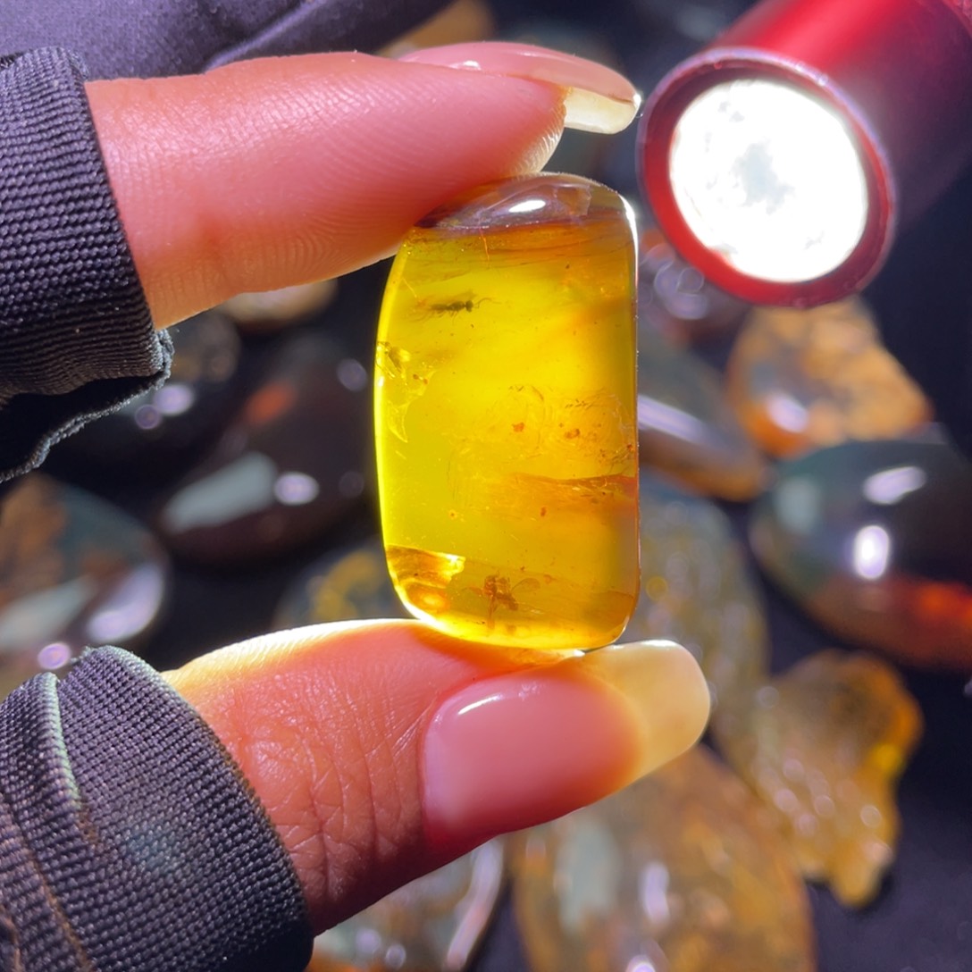 未镶嵌琥珀裸石？