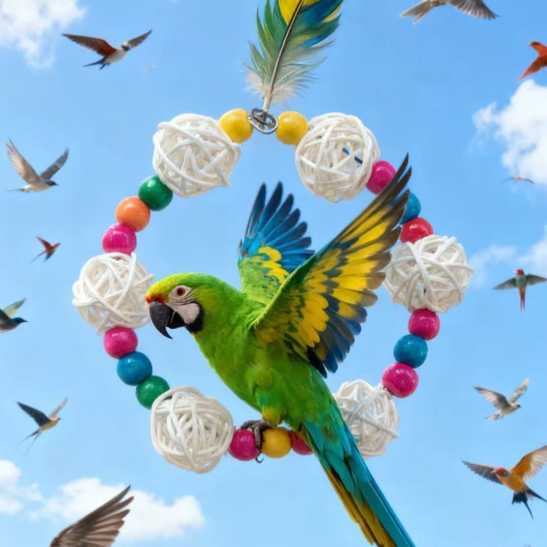 鹦鹉鸟笼配件装饰秋千解闷啃咬玩具适用于玄凤牡丹虎皮鸟