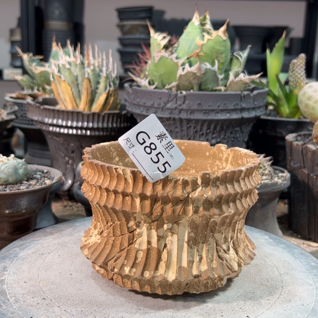 景德镇手工素里内口13高10