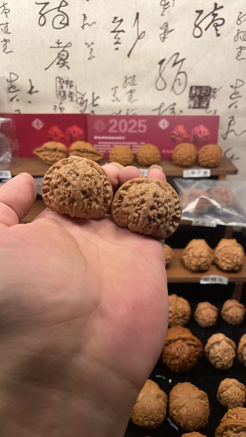 42全品无修球白狮子