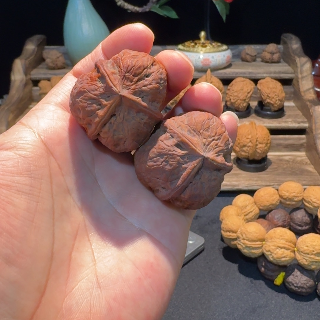 _***旭文玩核桃把件云南铁核桃10